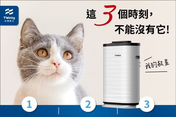 客户Instagram广告组图包范例